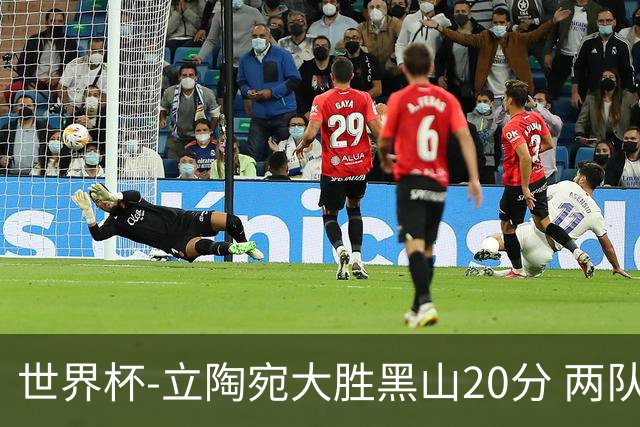 世界杯-立陶宛大胜黑山20分 两队携手晋级16强