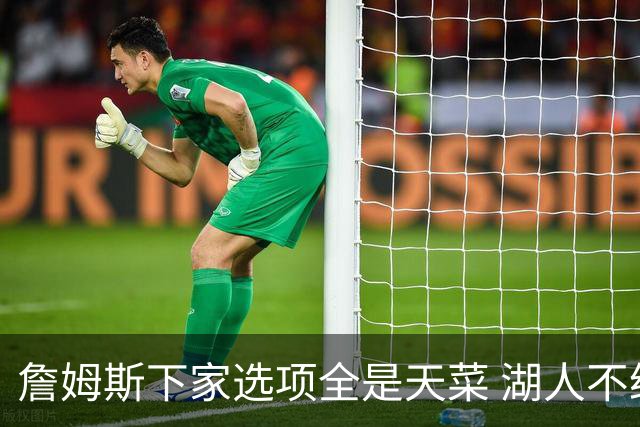 詹姆斯下家选项全是天菜 湖人不给的体面这些队能给